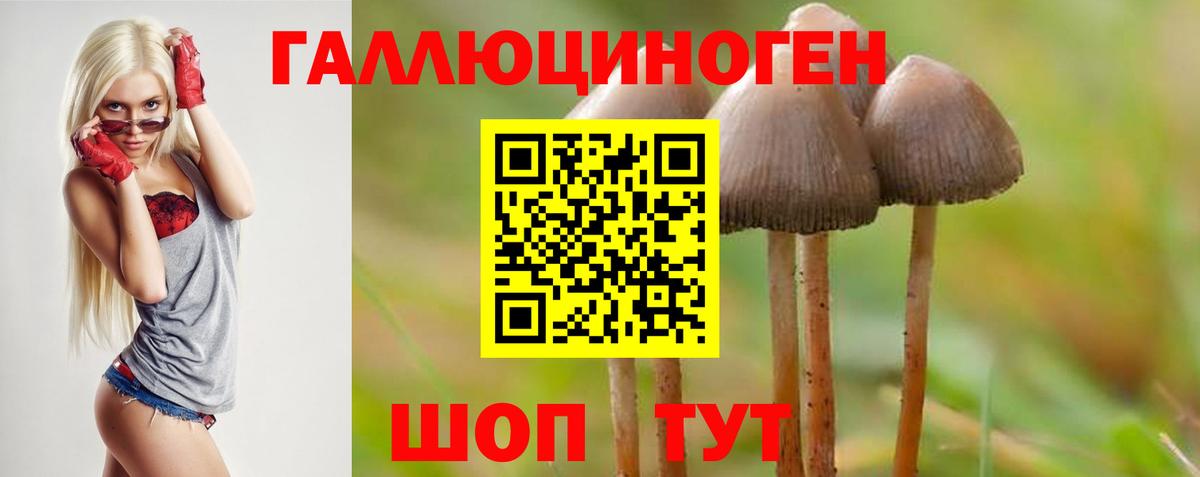Галлюциногенные грибы мухоморы Бузулук